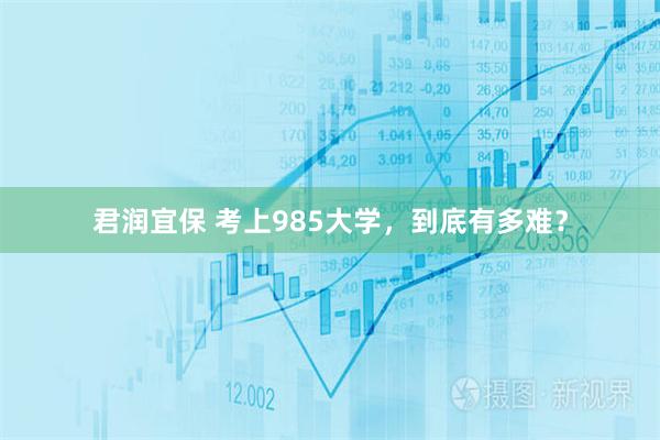 君润宜保 考上985大学，到底有多难？