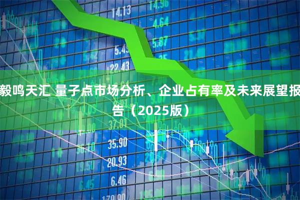 毅鸣天汇 量子点市场分析、企业占有率及未来展望报告（2025版）