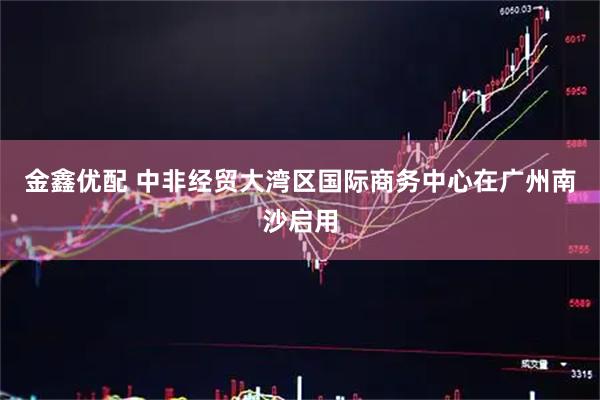 金鑫优配 中非经贸大湾区国际商务中心在广州南沙启用
