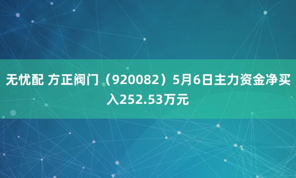 无忧配 方正阀门（920082）5月6日主力资金净买入252.53万元