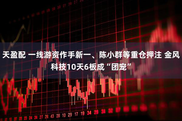 天盈配 一线游资作手新一、陈小群等重仓押注 金风科技10天6板成“团宠”